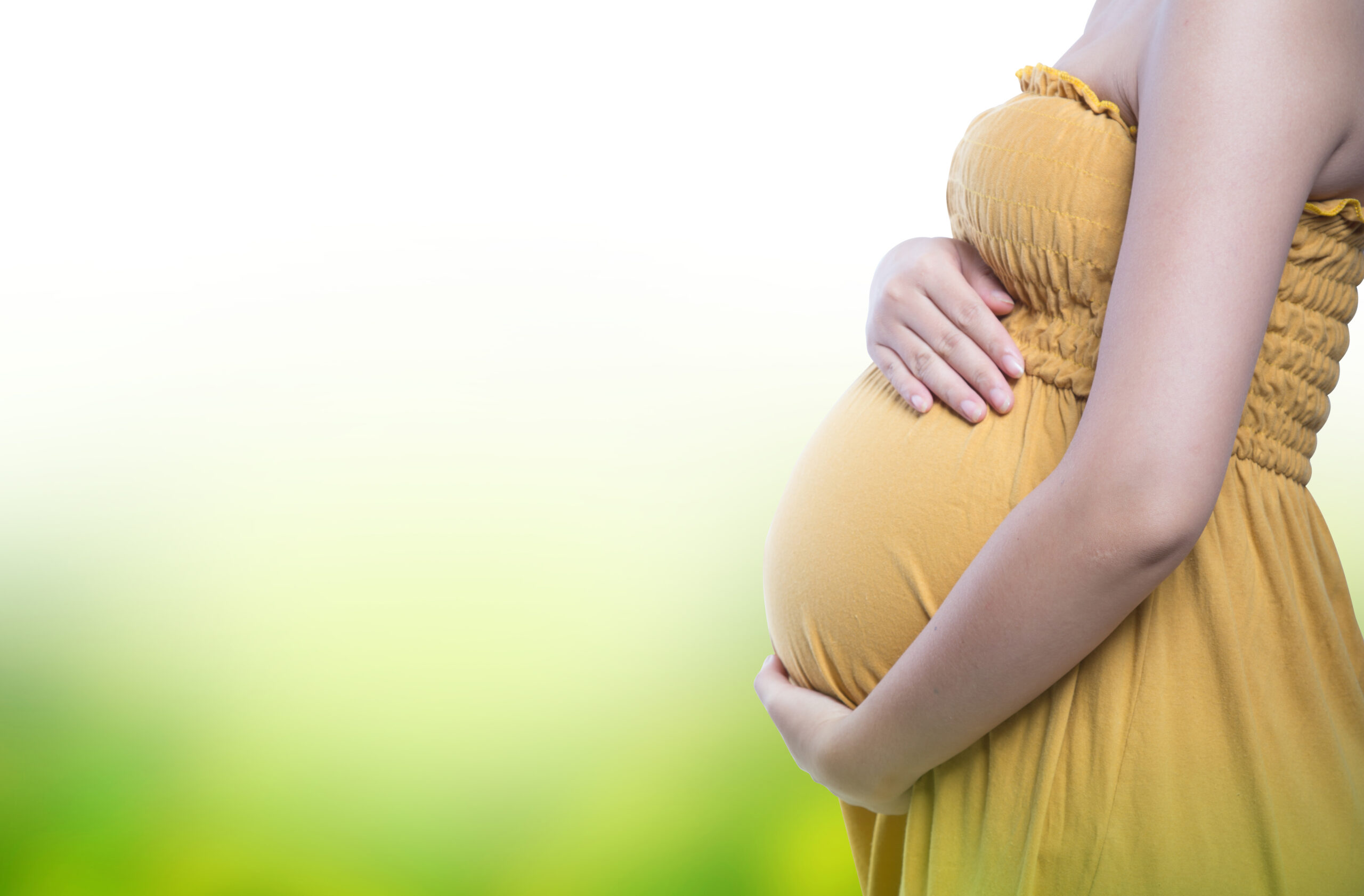 Process Of Surrogacy